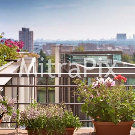 flowering-plants-in-a-balcony