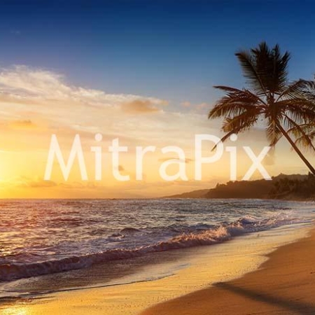 tropical-island-beach-at-sunset-with-palm-trees