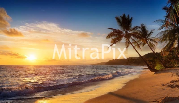 tropical-island-beach-at-sunset-with-palm-trees