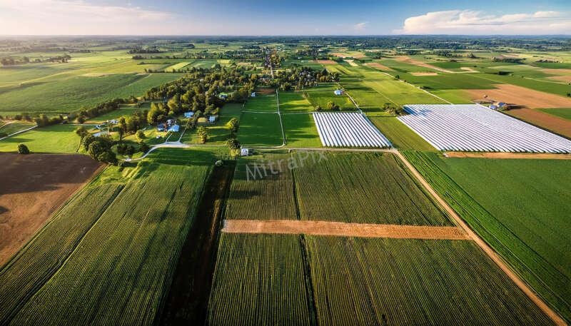 Agricultural Farmland Aerial View