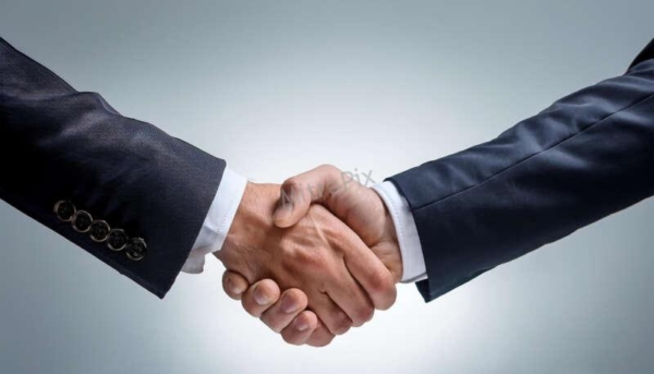 Business Handshake on Plain Background