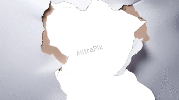 Torn Paper Background
